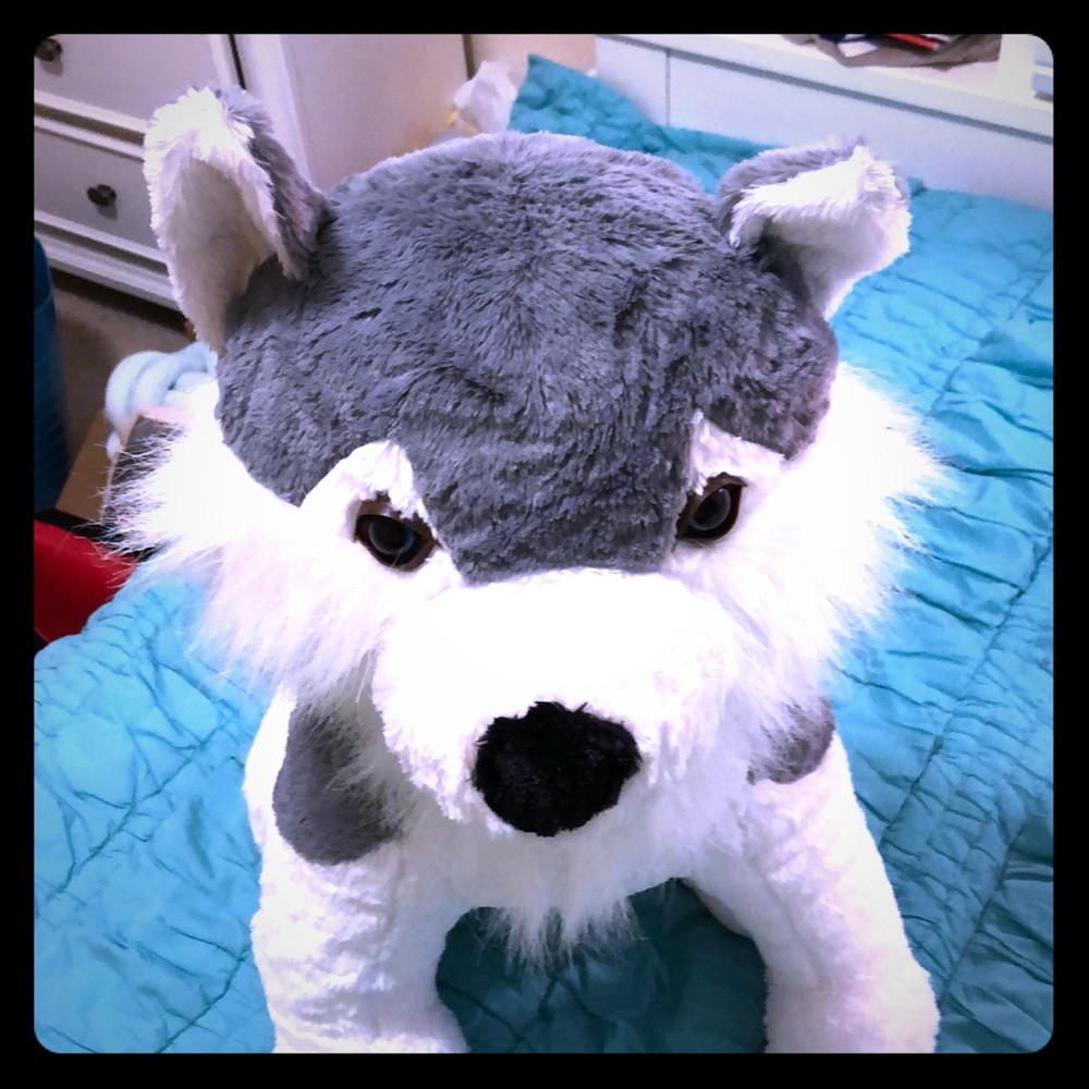 stuffed animal